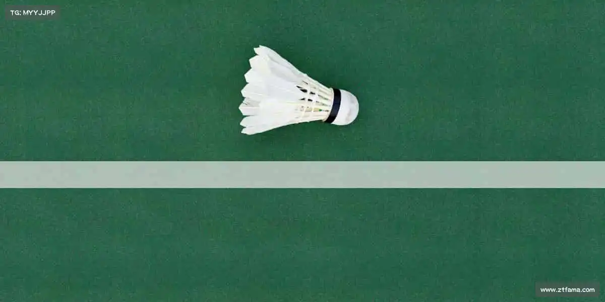 <strong>必一运动</strong>🏃♂️运动不止步，热爱正当时！